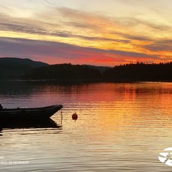 sort 350 i telemark i solnedgang.jpg